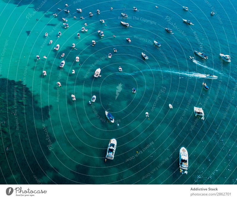 Verschiedene Motorboote, die im Meer segeln. Wasserfahrzeug Lagune Segeln Jacht Ferien & Urlaub & Reisen Tourismus tropisch Reichtum blau Sommer Küste Natur