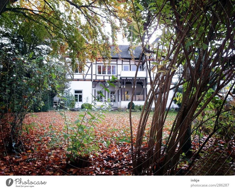 der geheime Garten II Häusliches Leben Wohnung Haus Fachwerkhaus Herbst Baum Gras Sträucher Blatt Wiese Menschenleer Traumhaus Architektur Villa Fachwerkfassade