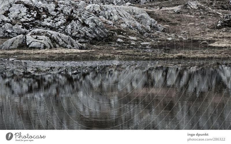 Stiller See Umwelt Natur Landschaft Felsen Berge u. Gebirge Seeufer Gebirgssee Gewässer Rumänien Siebenbürgen Karpaten natürlich Abenteuer rein karg