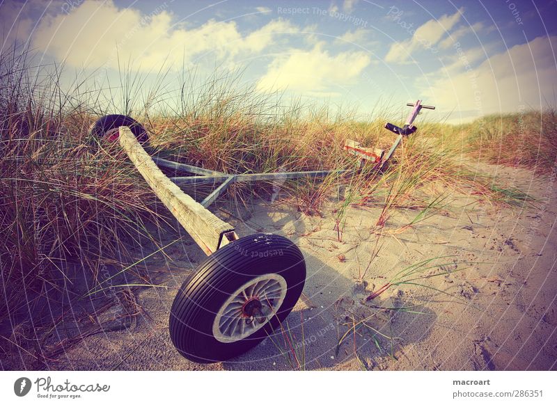 alter pollerwagen Erholung Ferien & Urlaub & Reisen Ausflug Sommer Sommerurlaub Strand Herbst Pflanze Gras Küste Düne Gedeckte Farben Außenaufnahme Menschenleer