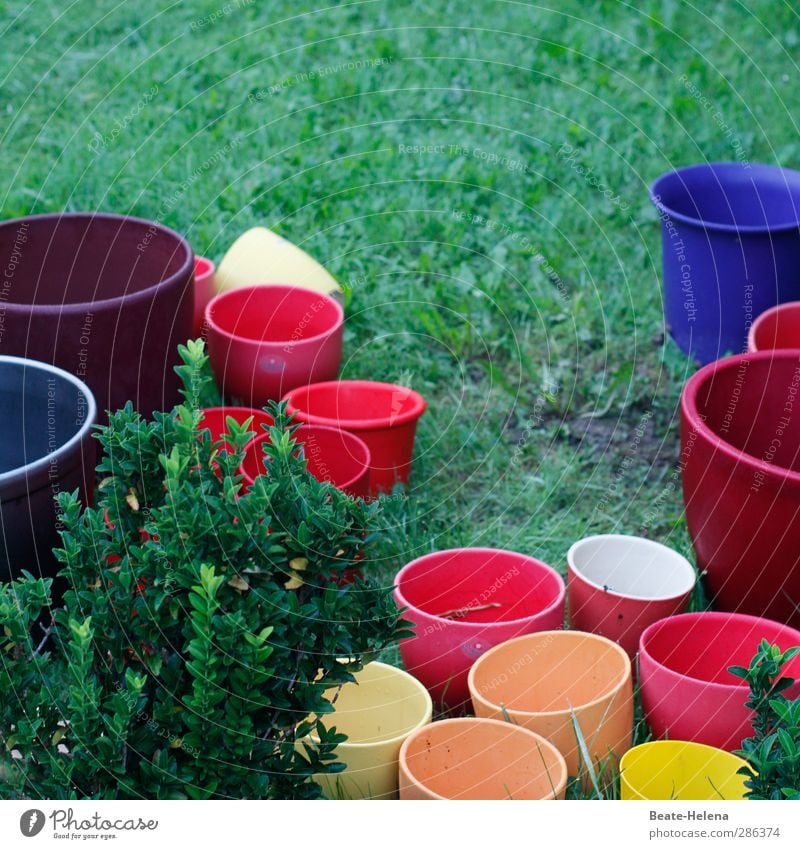 'Qual! | die Qual der Wahl ... Garten Blumentopf Stein gebrauchen blau mehrfarbig gelb orange rot schön umtopfen umpflanzen verschönern Farbvariation Farbfoto