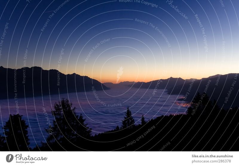 guten morgen innsbruck Umwelt Natur Landschaft Urelemente Himmel Wolkenloser Himmel Sonnenaufgang Sonnenuntergang Sommer Herbst Klima Schönes Wetter Nebel Baum