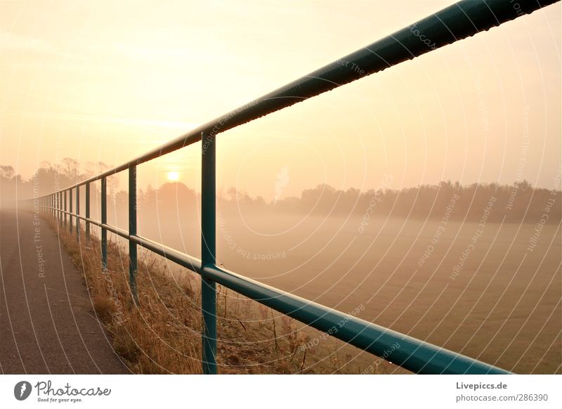 da Zaun Umwelt Natur Landschaft Himmel Wolkenloser Himmel Sonne Sonnenaufgang Sonnenuntergang Sonnenlicht Herbst Schönes Wetter Nebel Pflanze Baum Gras