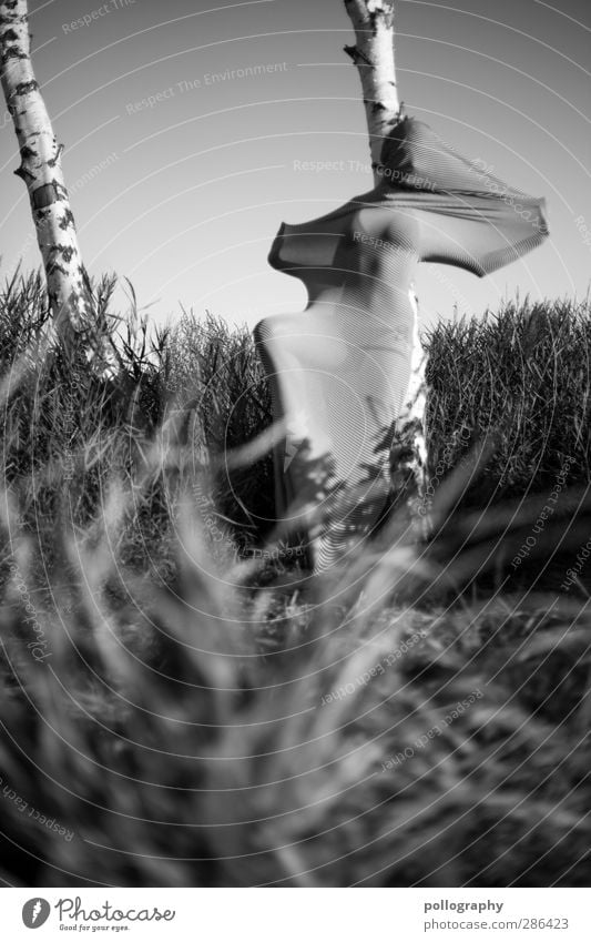 abstract bodies (22) Mensch feminin Junge Frau Jugendliche Erwachsene Leben Körper 1 18-30 Jahre Natur Landschaft Pflanze Himmel Wolkenloser Himmel Sommer