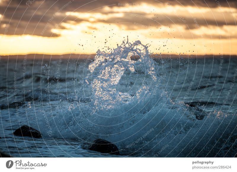 splash Freiheit Meer Wellen Natur Landschaft Wasser Wassertropfen Himmel Wolken Sonnenaufgang Sonnenuntergang Sommer Herbst Wetter Schönes Wetter Wind Küste