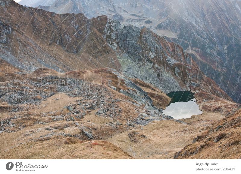 Oase in der Felswüste Umwelt Natur Landschaft Urelemente Erde schlechtes Wetter Felsen Berge u. Gebirge Seeufer Gebirgssee Karpaten Rumänien Siebenbürgen