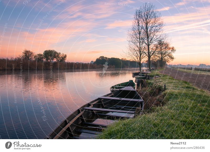 Morgensruhe II Natur Landschaft Wasser Himmel Wolken Schönes Wetter Baum Küste Flussufer Bach blau violett Wasserfahrzeug ruhig entspannen Spaziergang