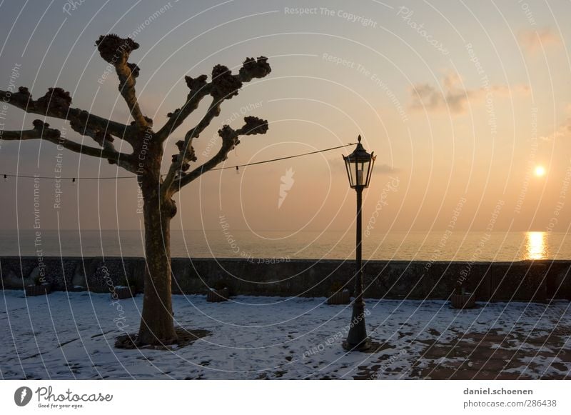 Laterne, Laterne ... Landschaft Himmel Horizont Sonnenlicht Winter See gelb Ruhe Stille Bodensee Farbfoto Textfreiraum rechts Abend Licht Sonnenstrahlen