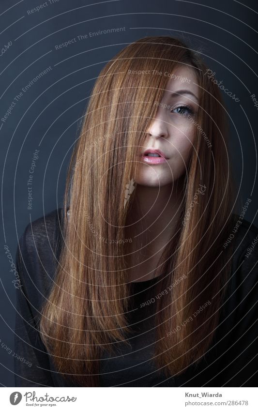 Long hair and more schön Haare & Frisuren Gesicht Mensch feminin Junge Frau Jugendliche Erwachsene Kopf Auge Mund 1 18-30 Jahre brünett langhaarig Blick Erotik