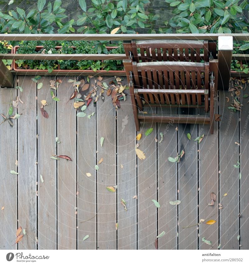 Nachbars Terrasse Natur Pflanze Herbst Wetter Schönes Wetter schlechtes Wetter Regen Baum Sträucher Blatt Haus Garten Stuhl Gartenmöbel 2 Blumenkasten Holz