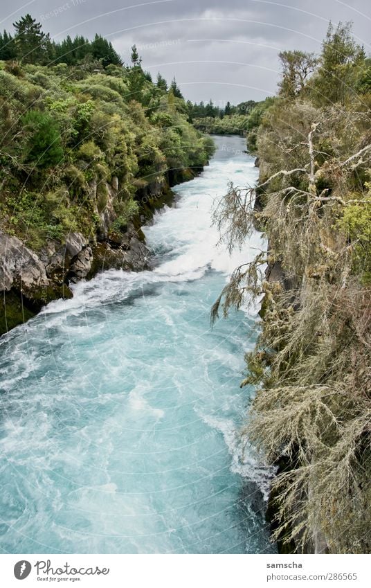 Huka Falls Ferien & Urlaub & Reisen Natur Landschaft Wasser Himmel Wolken Gewitterwolken Wetter Wald Flussufer Wasserfall bedrohlich Flüssigkeit kalt nass wild