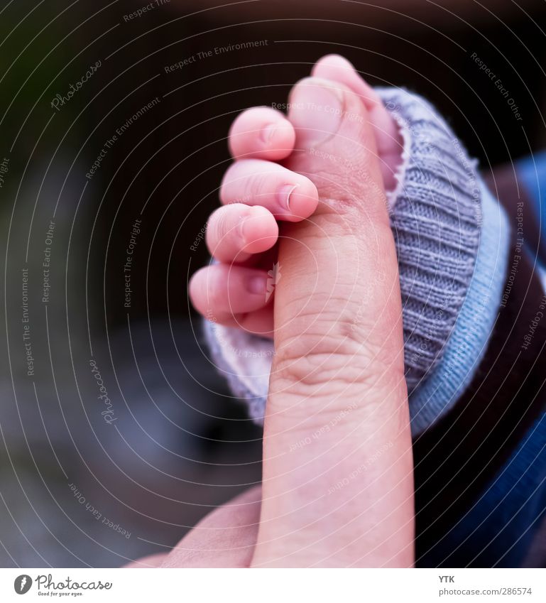 Hold on Mensch Kind Baby Kleinkind Mann Erwachsene Eltern Vater Familie & Verwandtschaft Kindheit Leben Hand Finger 2 0-12 Monate 1-3 Jahre 30-45 Jahre berühren