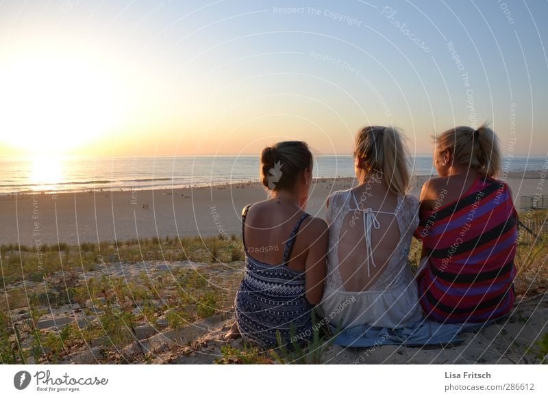 freunde der sonne... Ferien & Urlaub & Reisen Sommer Sommerurlaub Sonne Strand Meer Mensch feminin Junge Frau Jugendliche Freundschaft Leben Rücken 3