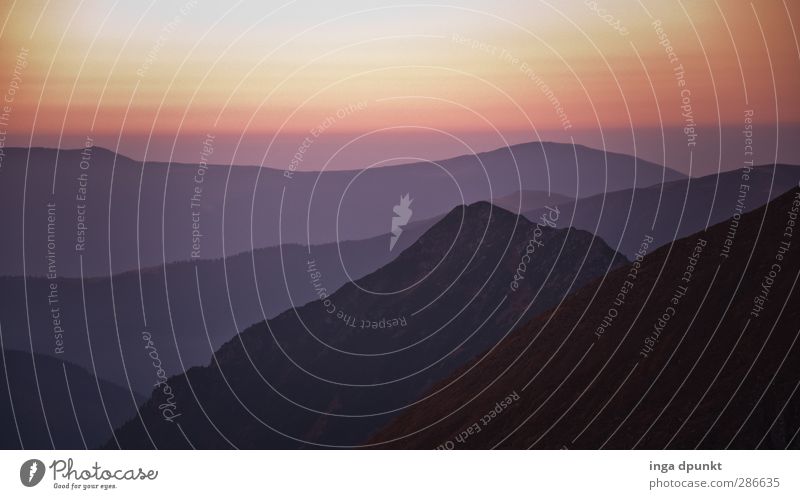 Lichtblick Umwelt Natur Landschaft Pflanze Schönes Wetter Hügel Berge u. Gebirge Gipfel Schlucht Rumänien Siebenbürgen Karpaten natürlich schön Romantik