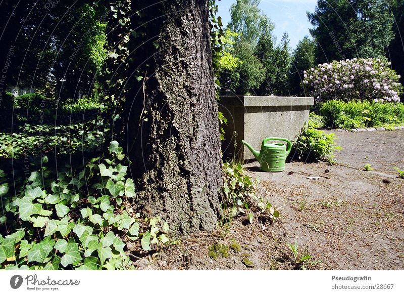 grüne Gießkanne aufm Friedhof Sonne Sommer Baum Sträucher Efeu Grünpflanze Park Kitsch Brunnen Farbfoto Außenaufnahme Sonnenlicht