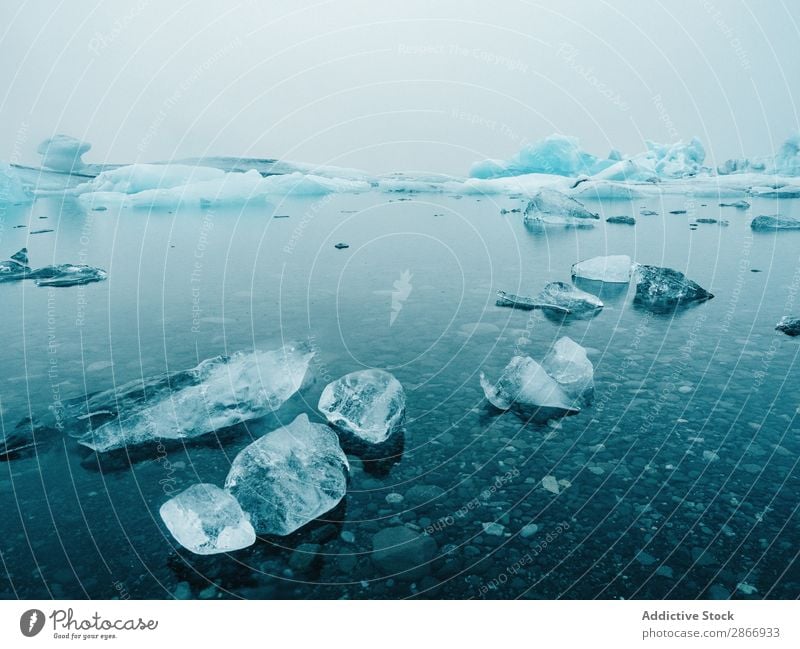 Eis und Schnee auf dem Wasser Oberfläche Küste Island groß kalt Winter Natur weiß Landschaft gefroren Jahreszeiten Frost Norden Wetter Ferien & Urlaub & Reisen