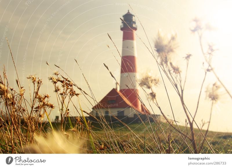 0 m ü. NN Natur Landschaft Sand Feuer Luft Wasser Himmel Sonne Wetter Wind Sturm Nordsee Meer Insel glänzend leuchten hoch rot Westerhever Eiderstedt Leuchtturm