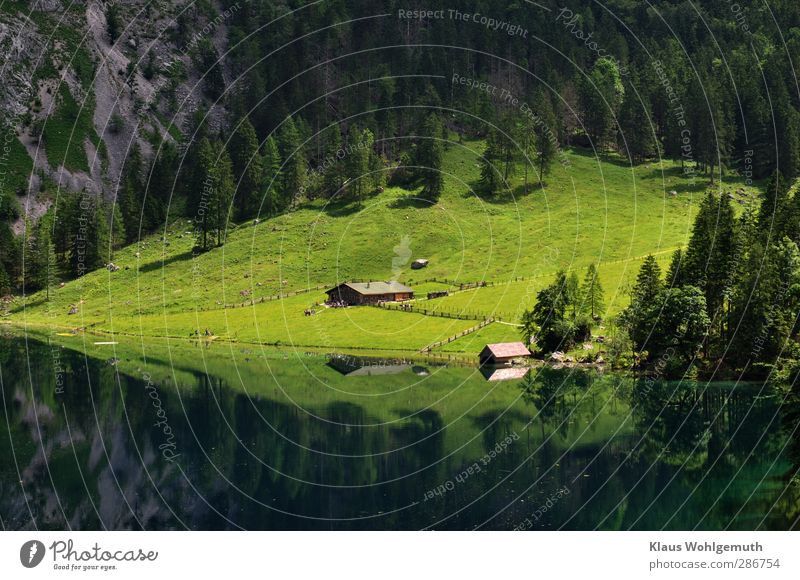 Fischunkelalm am Ufer des Obersees im Berchsesgardener Land. Ein Sonnenstrahl erhellt die Umgebung der Almhütte Ferien & Urlaub & Reisen Tourismus Abenteuer