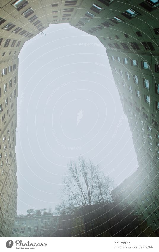 n Stadt Haus Architektur Mauer Wand Fenster Häusliches Leben grotte Hochhaus Plattenbau Wohnsiedlung Baum Nebel bewohnt Miete Wohnung Berlin Farbfoto