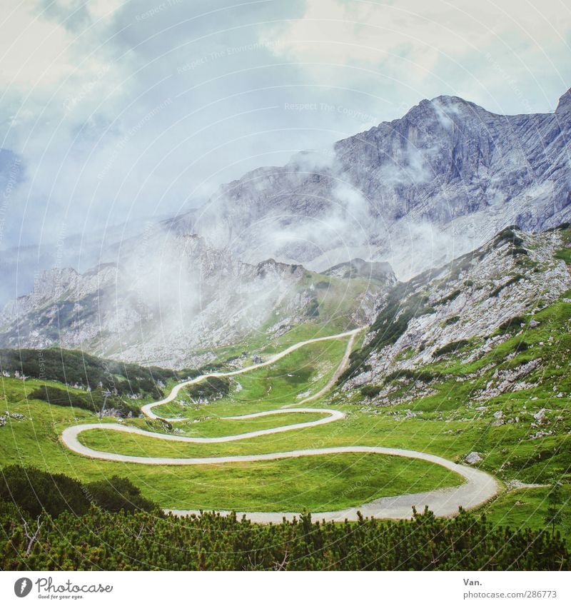 Es geht noch höher... Ferien & Urlaub & Reisen Berge u. Gebirge wandern Natur Landschaft Himmel Wolken Sommer Nebel Pflanze Gras Sträucher Felsen Alpen Gipfel