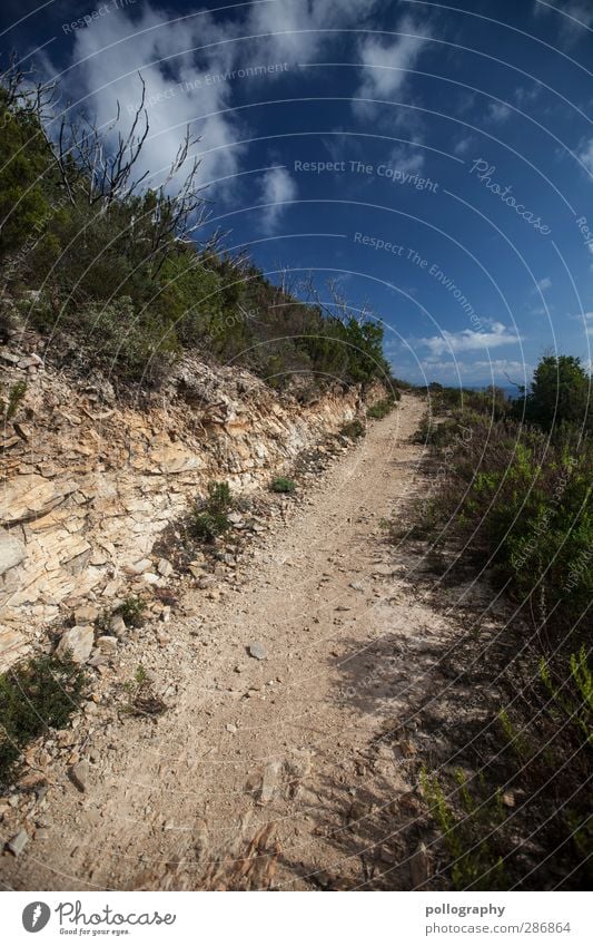 Dieser Weg wird kein leichter sein... Umwelt Natur Landschaft Pflanze Erde Sand Himmel Wolken Horizont Sommer Schönes Wetter Wärme Dürre Sträucher Hügel Felsen