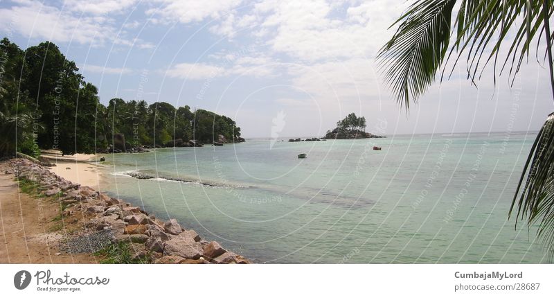 Seychellen Bucht Strand Meer Palme München Urwald Wasser Sommer auf der Südhalbkugel