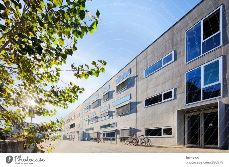 universal Haus Architektur Sommer Baum Graz Studium Fassade Fenster Tür Fahrrad blau grau grün Fahrradparkplatz HDR Tilt-Shift Farbfoto Außenaufnahme