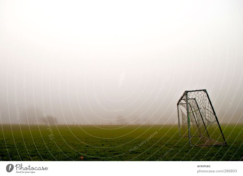 Champions League Sport Ballsport fußballtor Sportstätten Fußballplatz Herbst schlechtes Wetter Nebel Wiese Farbfoto Gedeckte Farben Außenaufnahme Menschenleer