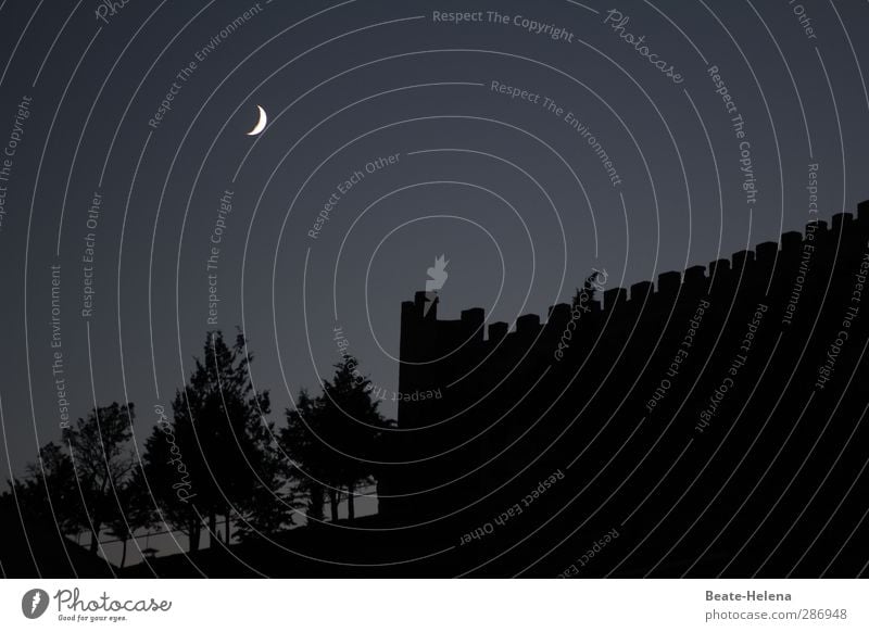 Spukschloss Ferien & Urlaub & Reisen Abenteuer Sommerurlaub Natur Landschaft Himmel Nachthimmel Mond Wetter Park Wald Dorf Traumhaus Burg oder Schloss Ruine