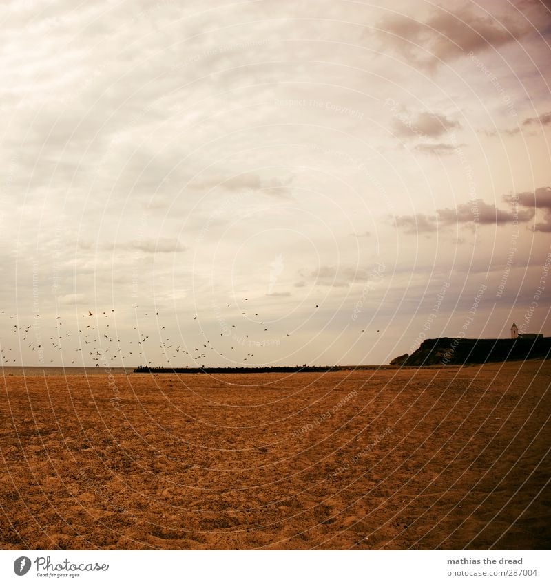 ROSAFLASH Umwelt Natur Landschaft Luft Wasser Himmel Horizont Schönes Wetter Wellen Küste Strand Meer Fischerdorf Menschenleer Kirche Bauwerk Gebäude Tier Vogel