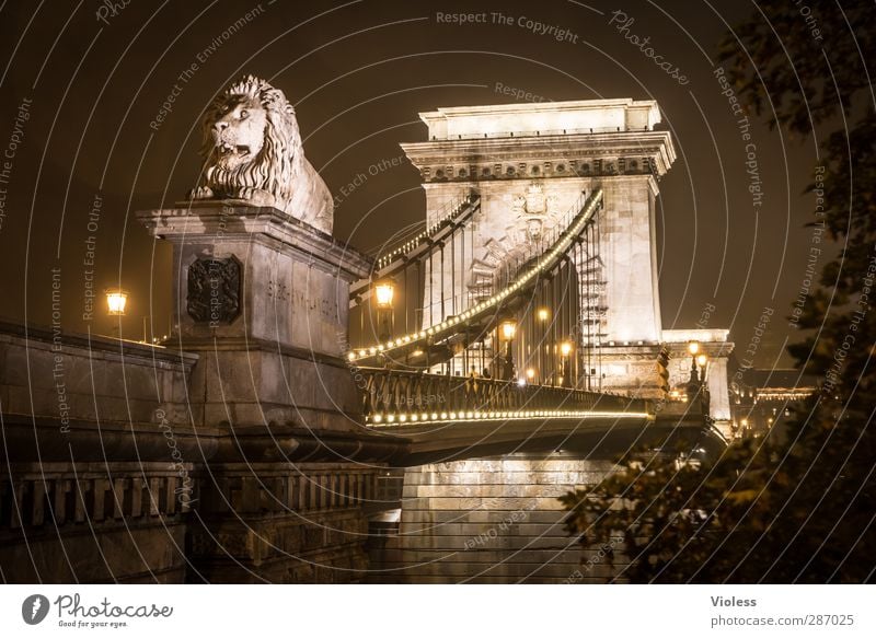 sauwetter in budapest Hauptstadt Altstadt Brücke Gebäude Architektur Sehenswürdigkeit Wahrzeichen Denkmal leuchten Ferien & Urlaub & Reisen Blick alt