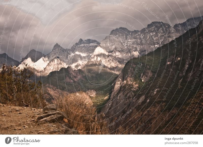 Tigerschlucht Umwelt Natur Landschaft Gras Felsen Berge u. Gebirge Gipfel Schlucht China Yunnan Asien Wege & Pfade Aussicht Himalaya Hochgebirge Nationalpark