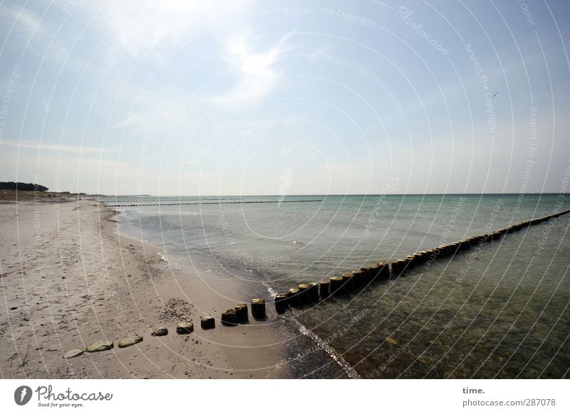 Hiddensee | Wellenbrecherchen Umwelt Natur Sand Wasser Himmel Horizont Frühling Küste Strand Ostsee Buhne natürlich Gelassenheit Zufriedenheit ruhig Tourismus