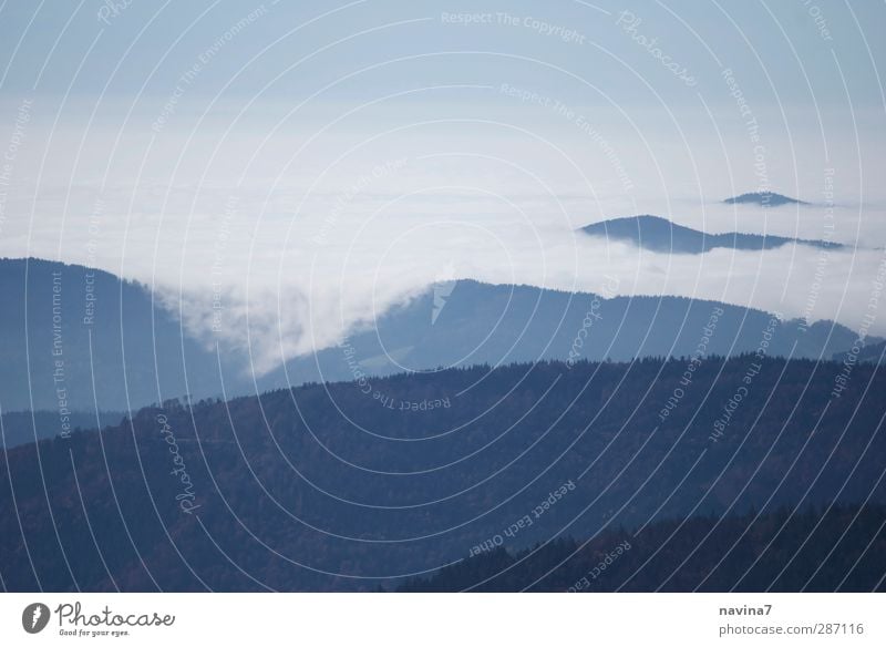 Kriechnebel Himmel Wolken Horizont Nebel Alpen Berge u. Gebirge Gipfel fliegen wandern Unendlichkeit blau weiß kalt Klima Ferne kriechen Perspektive