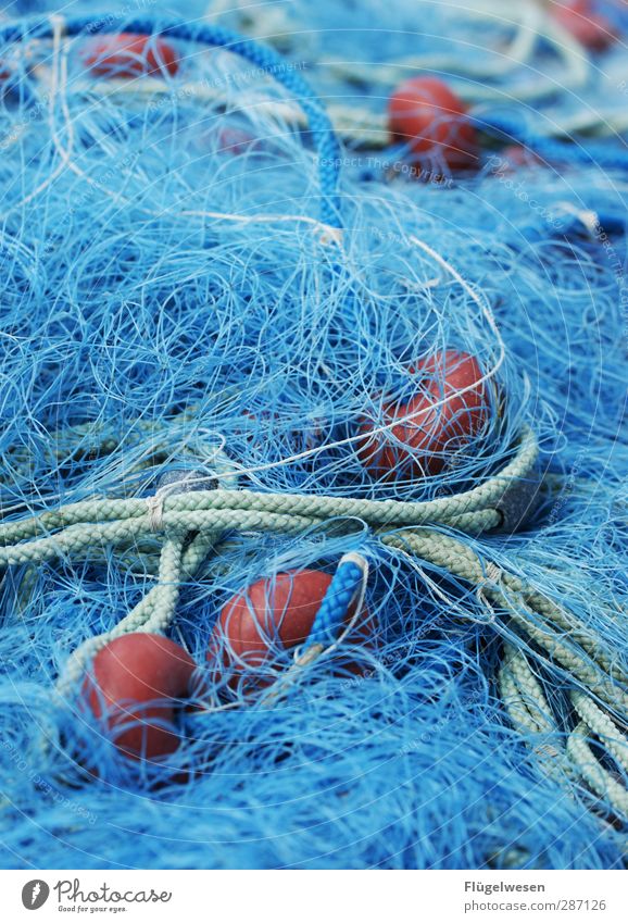 Sicher im Netz! Lebensmittel Fisch Meeresfrüchte Ernährung Essen Frühstück Wellen Küste Seeufer Flussufer Nordsee Ostsee Teich fangen Macht Tatkraft Angeln