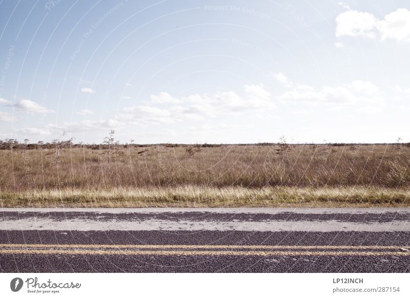 Florida State Road 823. XXVII Ferien & Urlaub & Reisen Tourismus Abenteuer Ferne Sommerurlaub Umwelt Natur Landschaft Pflanze Tier Schönes Wetter Gras