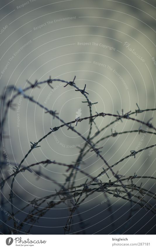 Stacheldraht Zaun Stacheldrahtzaun grau Justizvollzugsanstalt gefangen Grenze Farbfoto Gedeckte Farben Außenaufnahme Menschenleer Textfreiraum oben Abend