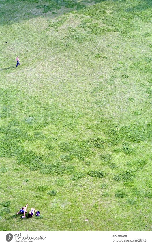 glück Gras Menschengruppe Paar hoch paarweise