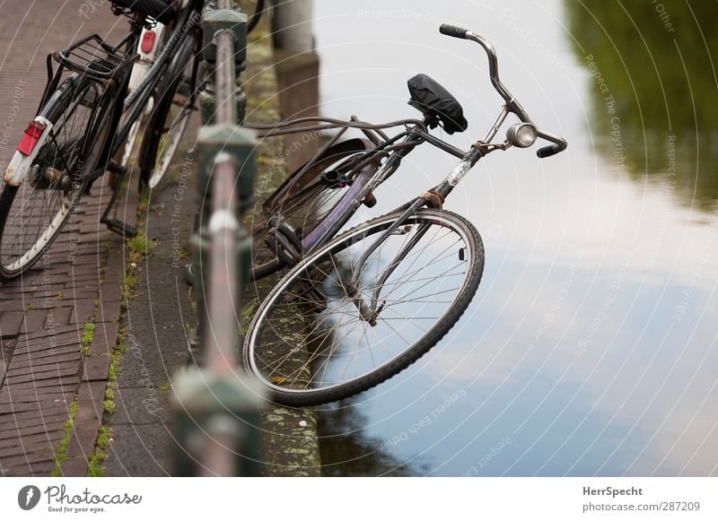 Kamikaze Fahrrad lustig braun grau schwarz Kanal Wasser Uferdamm Flussufer Zaunpfahl Barriere angeschlossen überhängen hängend alt Fahrradschloss Stunt