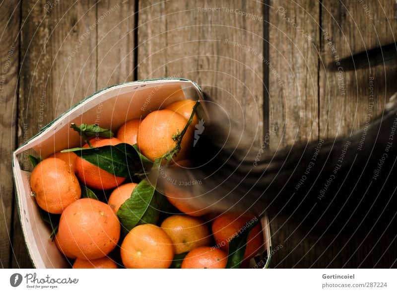 Naseweiß Lebensmittel Frucht Ernährung Tier Haustier Katze 1 Tierjunges Neugier Mandarine Obstkiste Katzenbaby Geruch Holztisch Farbfoto Innenaufnahme