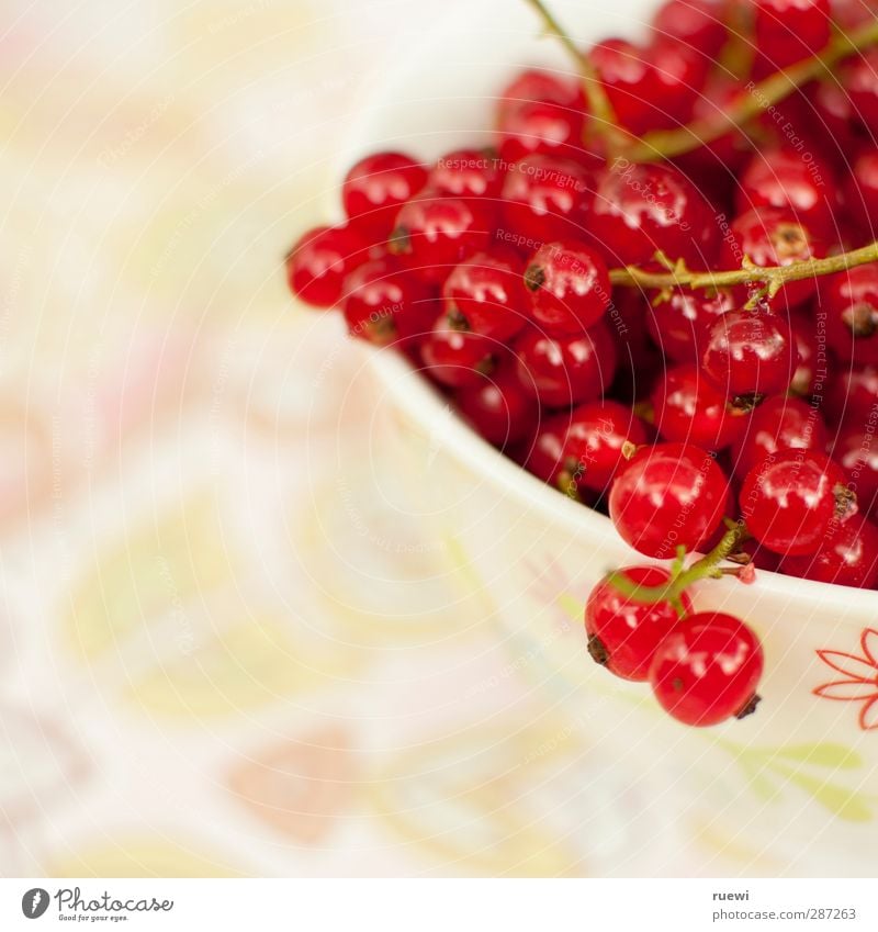 Johannisbeeren Lebensmittel Frucht Dessert Ernährung Mittagessen Abendessen Bioprodukte Vegetarische Ernährung Diät Fingerfood Geschirr Schalen & Schüsseln