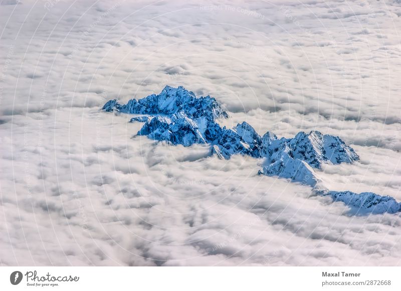 Alpen über den Wolken Ferien & Urlaub & Reisen Winter Schnee Berge u. Gebirge Natur Landschaft Himmel fliegen blau weiß Europa Frankreich Italien Adrenalin