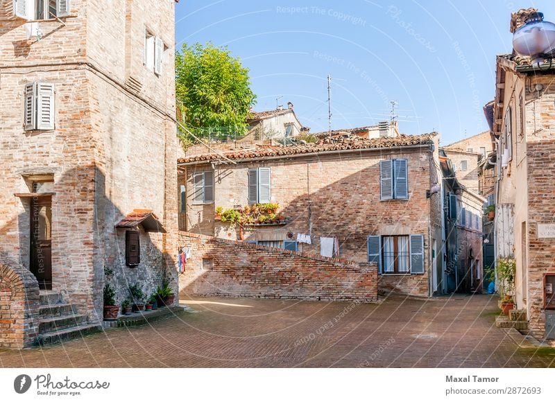 Häuser in einer Straße von Urbino Ferien & Urlaub & Reisen Tourismus Sommer Haus Kultur Landschaft Baum Blume Stadt Gebäude Architektur Fassade Denkmal alt