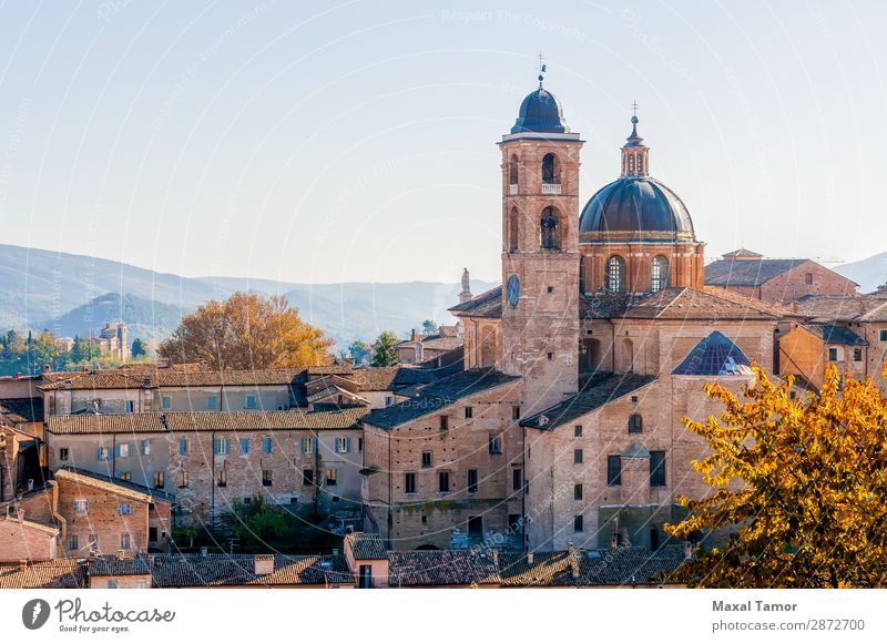 Kathedrale von Urbino Ferien & Urlaub & Reisen Tourismus Studium Kultur Landschaft Stadt Kirche Palast Gebäude Architektur Denkmal Stein alt historisch weiß