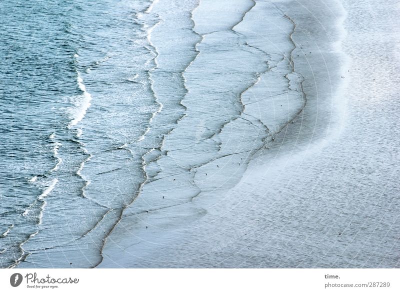 happy birthday, photocase | Lebenslinien - nur für euch :) Natur Landschaft Sand Wasser Wellen Küste Meer Ärmelkanal Ebbe Gezeiten Wattenmeer Bewegung Ewigkeit