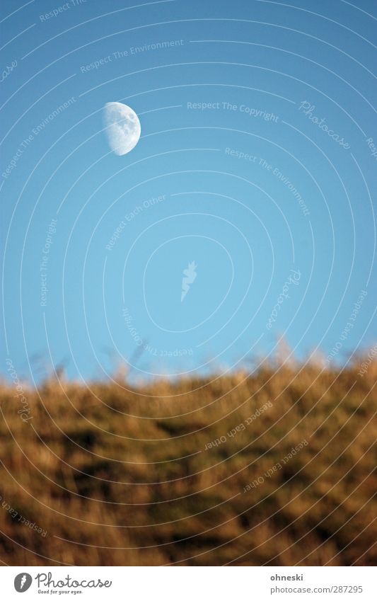 Happy Birthday Photocase | The Moon Urelemente Luft Himmel Wolkenloser Himmel Mond Gras ruhig Sehnsucht Einsamkeit Ewigkeit Stimmung Weltall Zukunft Farbfoto