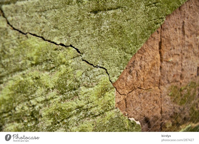 Lebenslinie Bauwerk Mauer Wand authentisch kaputt Senior Verfall Wandel & Veränderung Putzfassade Riss Farbfoto Außenaufnahme Textfreiraum links