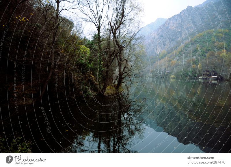 See Umwelt Natur Landschaft Wasser Herbst Winter Nebel Wald Felsen Berge u. Gebirge Schlucht Küste Seeufer Flussufer Bucht Fjord skopje mazedonien Skandinavien