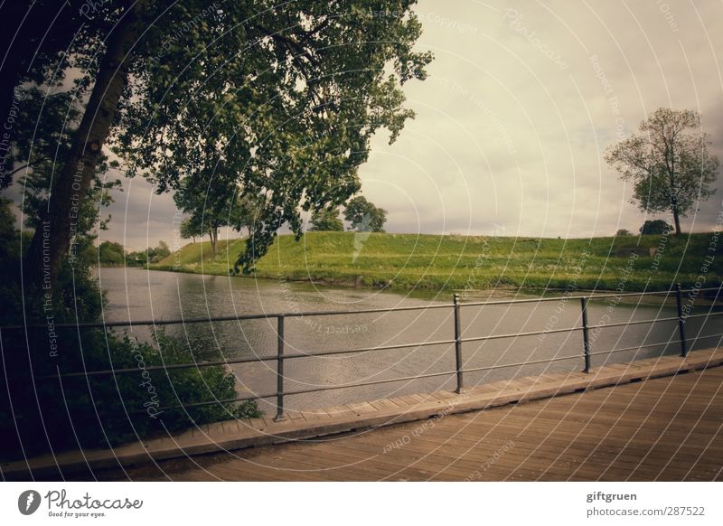 all things pass Landschaft schlechtes Wetter Baum Wiese Flussufer einfach Brücke Steg Brückengeländer Geländer Bach Gewässer trüb Regen Wolken Wolkendecke