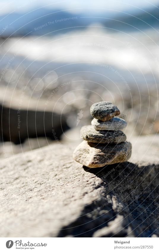 Steinbaum 2 Leben harmonisch Wohlgefühl Zufriedenheit Sinnesorgane Erholung ruhig Meditation Kur Ausflug Sommer Sommerurlaub Strand Meer Insel Wellen Küste